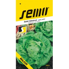 Salát jarní - Major polní 0,3g Salát jarní - Major polní 0,3g