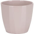 Obal 939 Rose Elegance lesk 10
