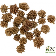 Dekorace - Star Flower - 12 g