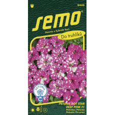 Petunie mnohokvětá - Dot Star Deep Pink F1 40p Petunie mnohokvětá - Dot Star Deep Pink F1 40p