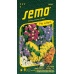 Limonka Statice sinuata - směs 0,5g
