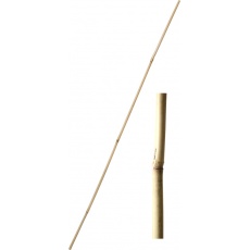 Tyč bambusová 150 cm tl. 12-14 mm