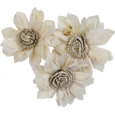 Dekorace - Sola Folded Star Protea 6 cm - 50 ks Dekorace - Sola Folded Star Protea 6 cm - 50 ks