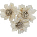 Dekorace - Sola Folded Star Protea 6 cm - 50 ks