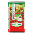 Substrát Forestina Standard - Jahody 40 l