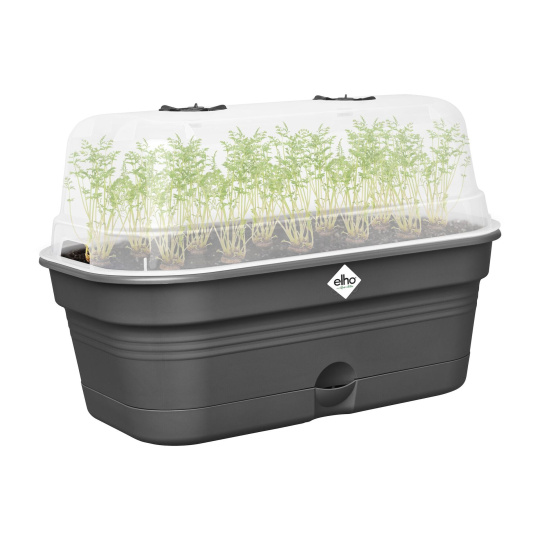 Truhlík Green Basics growpot tray all-in-1 39 cm - living black