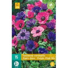 Karta - Sasanka - Anemone Coronaria Puprle/Pink (15 cibulí) "C" Karta - Sasanka - Anemone Coronaria Puprle/Pink (15 cibulí) "C"