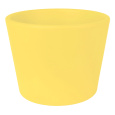 Obal 811 primule Lemon lesk 11 cm 