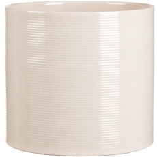 Obal 828 Sesame lesk 23 Obal 828 Sesame lesk 23