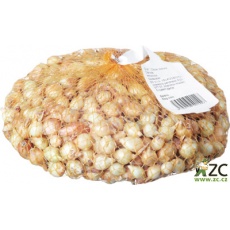 Sazečka - Štutgart 250 g (8-16 mm) Sazečka - Štutgart 250 g (8-16 mm)
