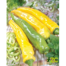 Paprika kozí roh - Grilánek 15-20 semen Paprika kozí roh - Grilánek 15-20 semen