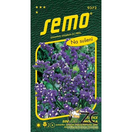 Limonka Statice sinuata - Dark Blue (Kampfs Blue) fialová 0,5g