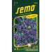 Limonka Statice sinuata - Dark Blue fialová 0,5g