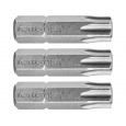 hrot TORX, sada 3ks, T 40x25mm, S2