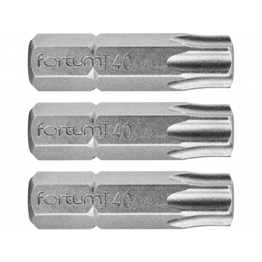 hrot TORX, sada 3ks, T 40x25mm, S2