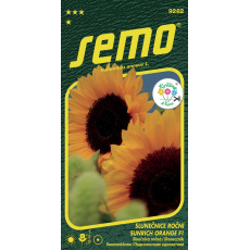 Slunečnice roční - Sunrich Orange F1 15s - série KVĚTINY K ŘEZU Slunečnice roční - Sunrich Orange F1 15s - série KVĚTINY K ŘEZU