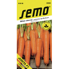 Mrkev Karotka - Judita F1 poloraná 1,3g (ZÁRUKA 2026)