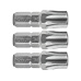 hrot TORX, sada 3ks, T 45x25mm, S2