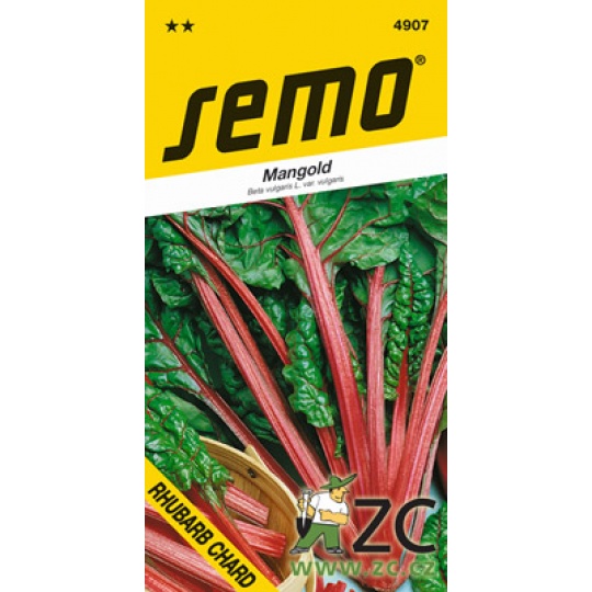 Mangold - Rhubard Chard zelený 3g