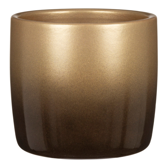 Obal 900 Nobel Gold lesk 13  /VÁNOCE DOPRODEJ/