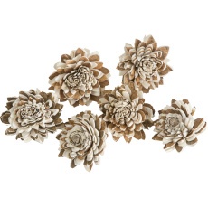 Dekorace - Sola Multi Zinnia 4 cm - 50 ks