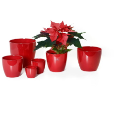 Obal 920 Red lesk 25 Obal 920 Red lesk 25
