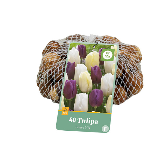 Síťka - XXL - Tulipán -Prince Mix  (40 cibulí) 