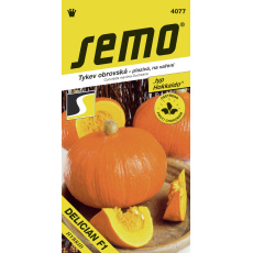 Tykev typ Hokkaido - Delician F1 5s (ZÁRUKA 2026)