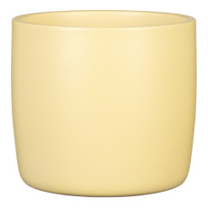Obal 900 Gentle Yellow mat 13 /JARO 2025/ Obal 900 Gentle Yellow mat 13 /JARO 2025/