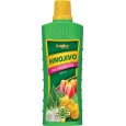 Kapka - cibuloviny a hlíznaté rostliny 500 ml