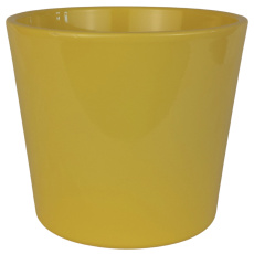Obal 811 primule Zitro glanz lesk 13 cm