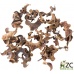 Dekorace - Curly Pod - 15 g