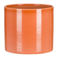 Obal 828 Papaya lesk 14