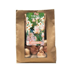 Taška - Color your garden - Peach blush (25 cibulí) Taška - Color your garden - Peach blush (25 cibulí)