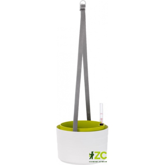 Žardina samozavlažovací Berberis se závěsem - bílá + zelená 26 cm