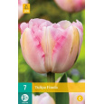 Karta - Tulipán - Finola (7 cibulí) "C+"