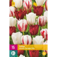 Karta XXL - Tulipán - Dutch Design Mix (15 cibulí) "E+"