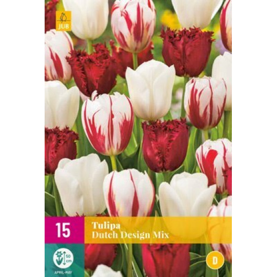 Karta XXL - Tulipán - Dutch Design Mix (15 cibulí) "E+"