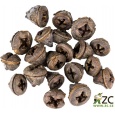 Dekorace - Eucalyptus Pod - 20 ks