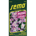 Večernička Přímořská - Spring Sparkle 0,2g - série MINI (ZÁRUKA 2026)