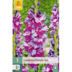 Karta - Mečík PURPLE ART (7 cibulí) "B" Karta - Mečík PURPLE ART (7 cibulí) "B"