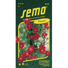 Kvamoklit - Kardinál pnoucí (ZÁRUKA 2026)