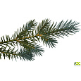 Strom vánoční umělý - Smrk stříbrný s kov. stoj 240 cm 1857 větví (cena bez slev