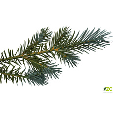Strom vánoční umělý - Smrk stříbrný s kov. stoj 240 cm 1857 větví (cena bez slev