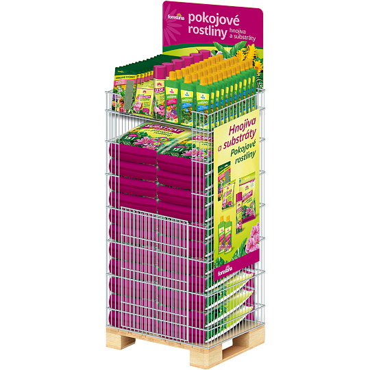 Koncept - Forestina Pokojové rostliny 1/4 paleta koš