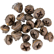 Dekorace - Eucalyptus Pod - 250 g Dekorace - Eucalyptus Pod - 250 g