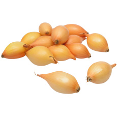 Sazečka - Augusta ozimá 500 g (7-14 mm) /cena bez slev/ Sazečka - Augusta ozimá 500 g (7-14 mm) /cena bez slev/