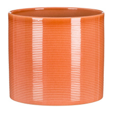 Obal 828 Papaya lesk 12