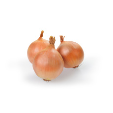 Sazečka - Augusta ozimá 10 kg pytel (7-14 mm) /cena bez slev/ Sazečka - Augusta ozimá 10 kg pytel (7-14 mm) /cena bez slev/