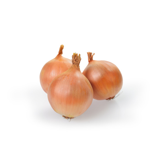 Sazečka - Augusta ozimá 10 kg pytel (7-14 mm) /cena bez slev/